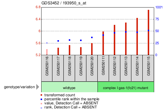 Gene Expression Profile