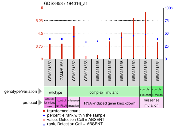 Gene Expression Profile