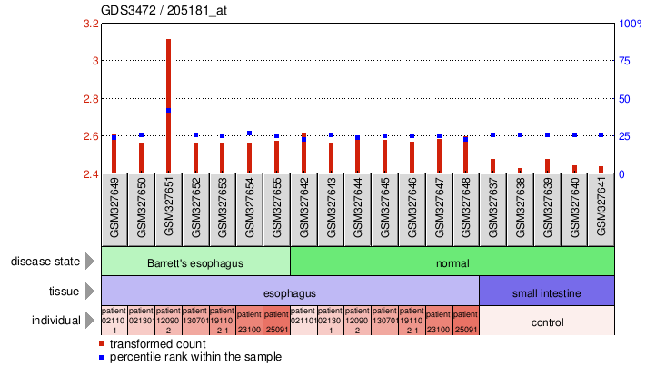 Gene Expression Profile