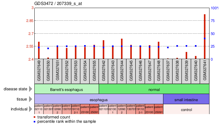 Gene Expression Profile