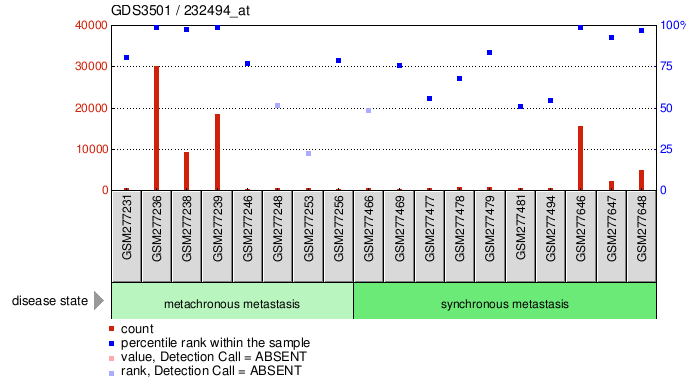 Gene Expression Profile