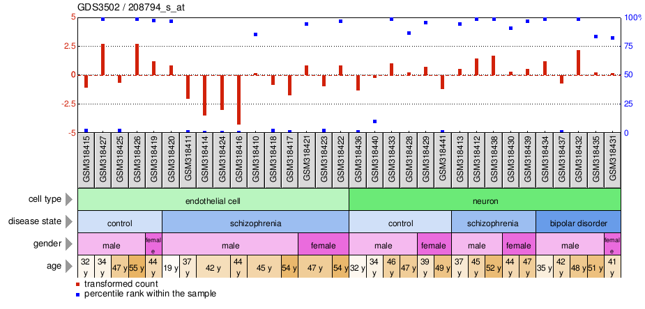 Gene Expression Profile