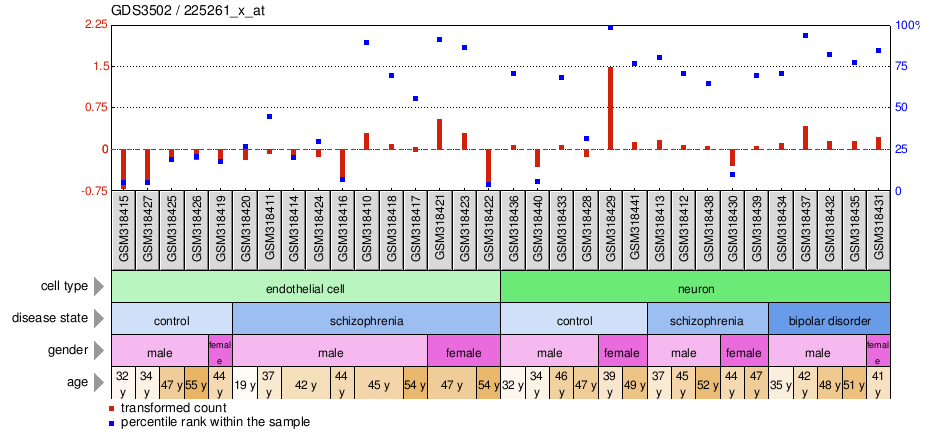 Gene Expression Profile