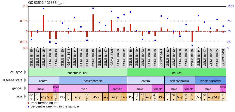 Gene Expression Profile