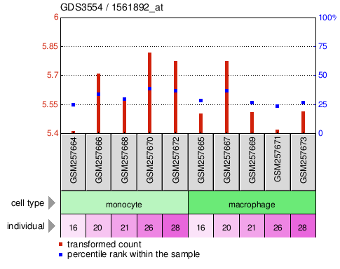 Gene Expression Profile