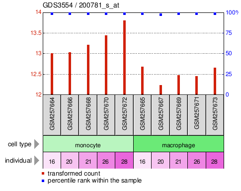 Gene Expression Profile