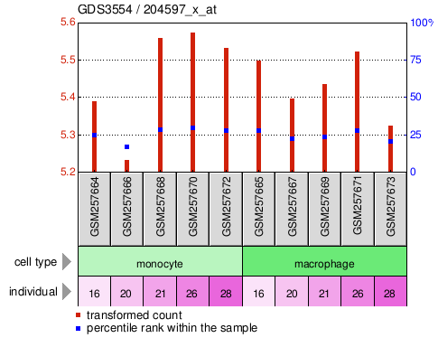 Gene Expression Profile