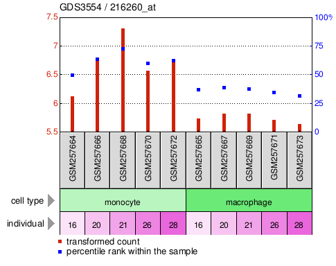 Gene Expression Profile