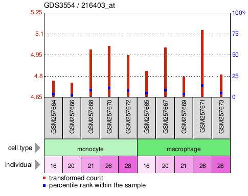 Gene Expression Profile