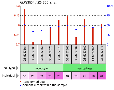 Gene Expression Profile