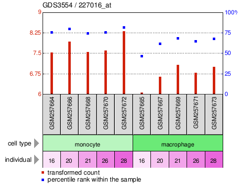 Gene Expression Profile