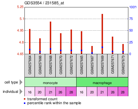 Gene Expression Profile