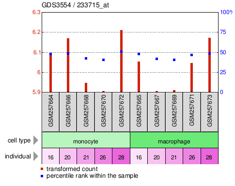 Gene Expression Profile