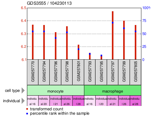 Gene Expression Profile