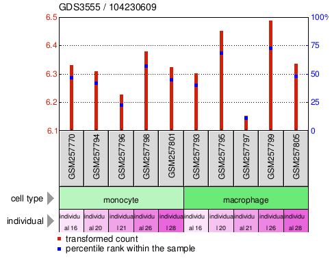 Gene Expression Profile