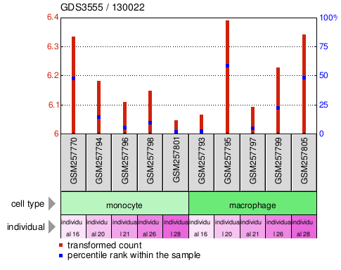 Gene Expression Profile