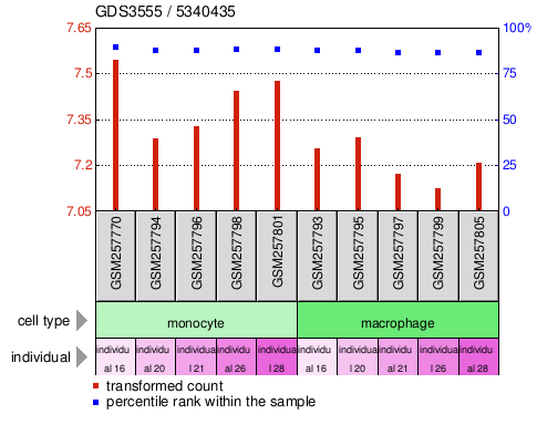 Gene Expression Profile