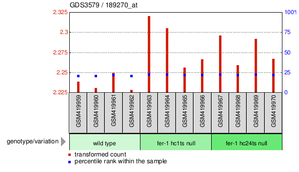 Gene Expression Profile