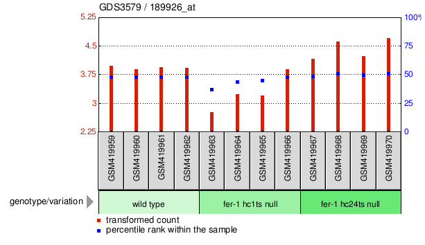 Gene Expression Profile