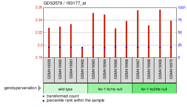 Gene Expression Profile