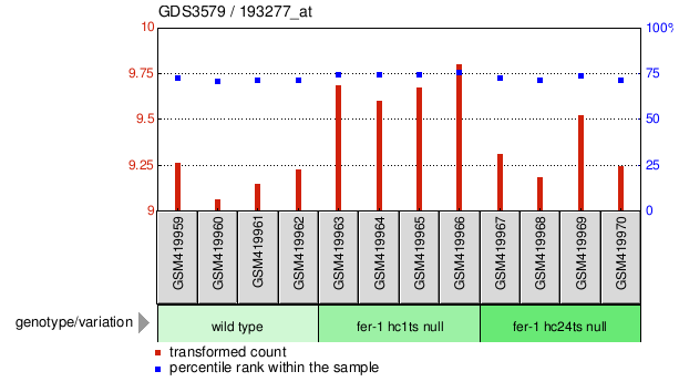 Gene Expression Profile