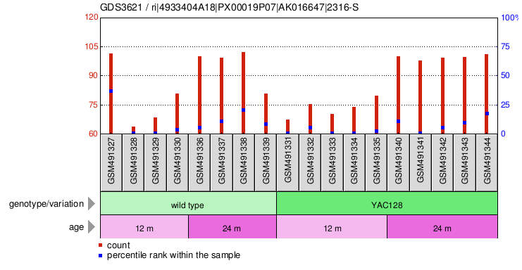 Gene Expression Profile