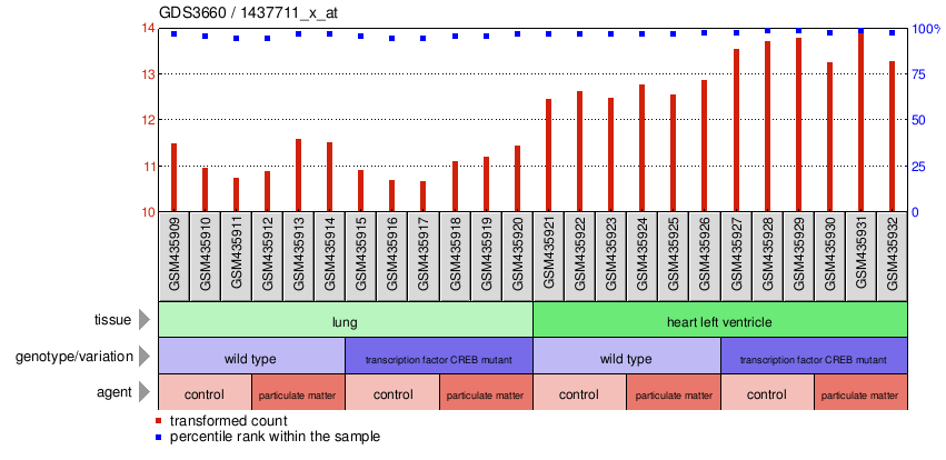 Gene Expression Profile