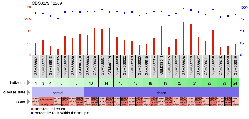 Gene Expression Profile