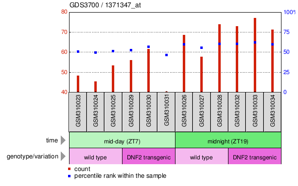 Gene Expression Profile