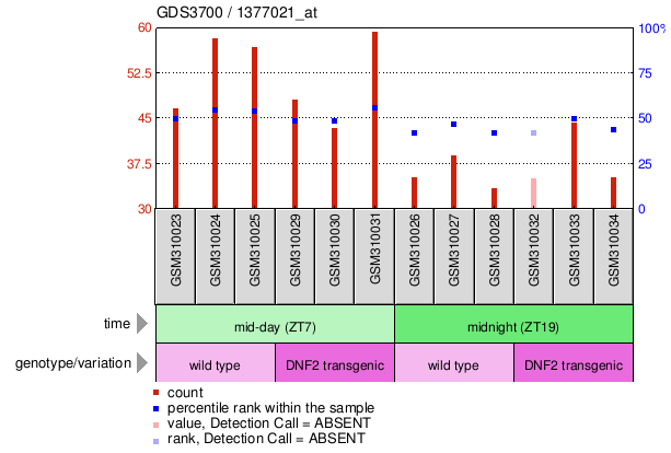 Gene Expression Profile