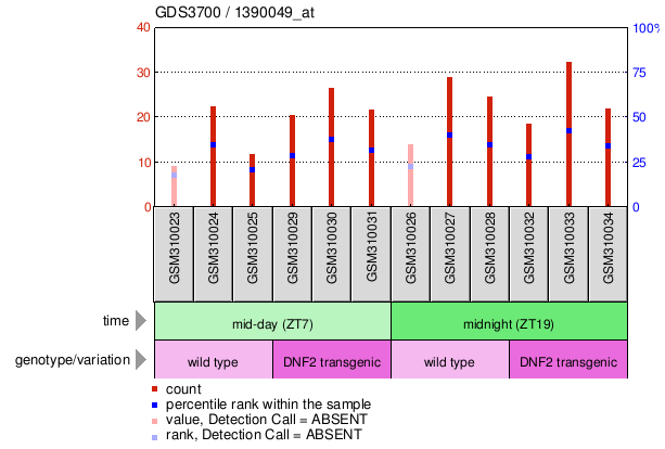 Gene Expression Profile