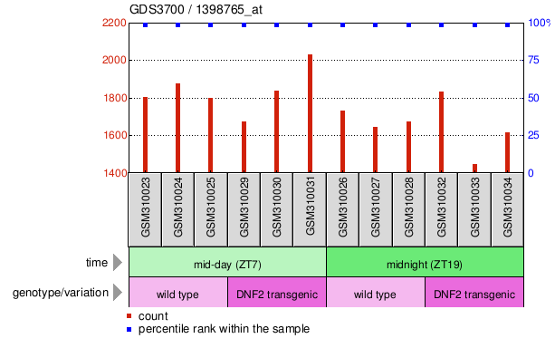 Gene Expression Profile