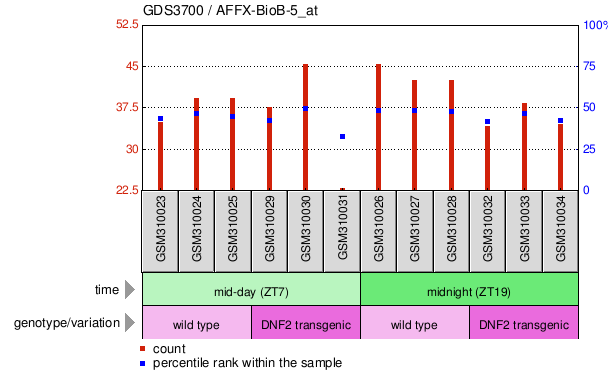 Gene Expression Profile