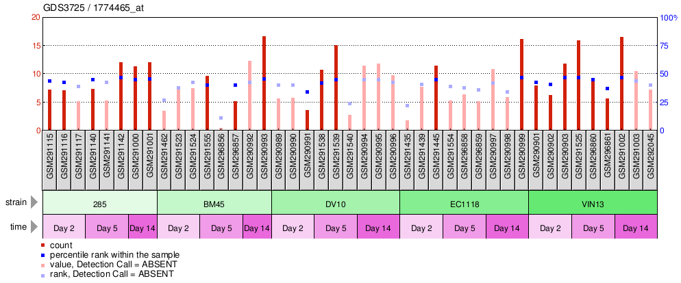 Gene Expression Profile