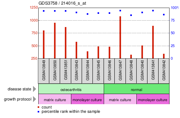 Gene Expression Profile