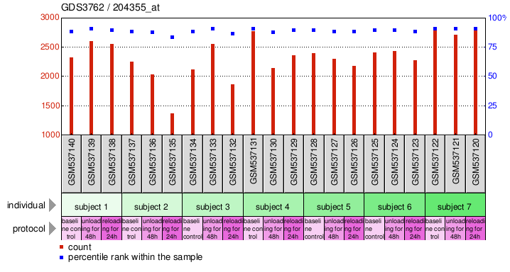 Gene Expression Profile