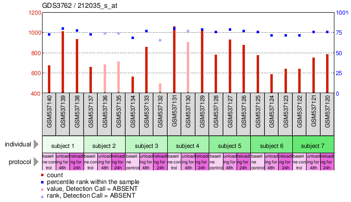 Gene Expression Profile