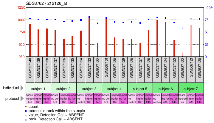 Gene Expression Profile