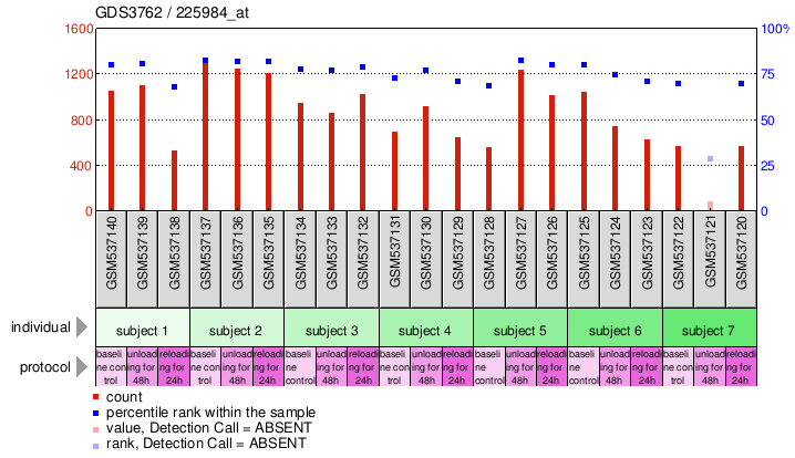 Gene Expression Profile