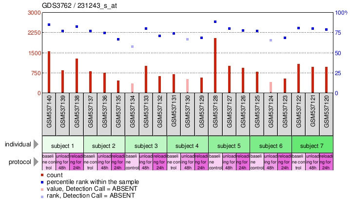 Gene Expression Profile