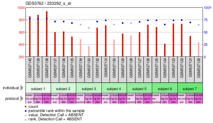 Gene Expression Profile