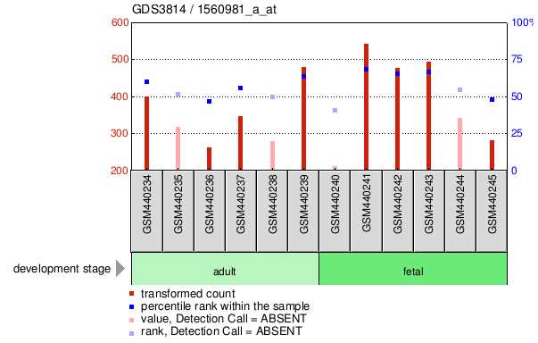 Gene Expression Profile