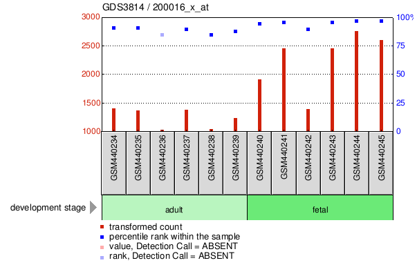 Gene Expression Profile