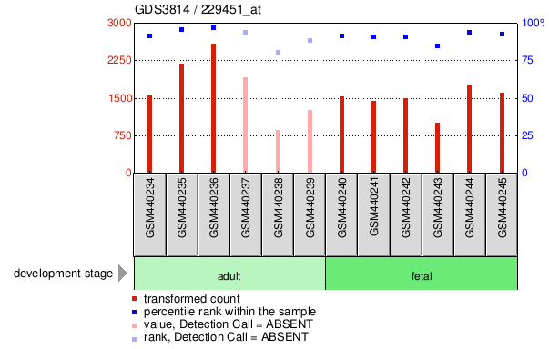 Gene Expression Profile