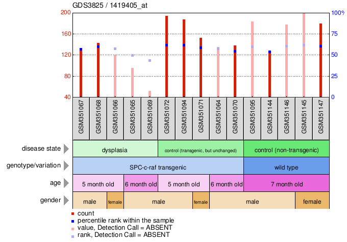 Gene Expression Profile