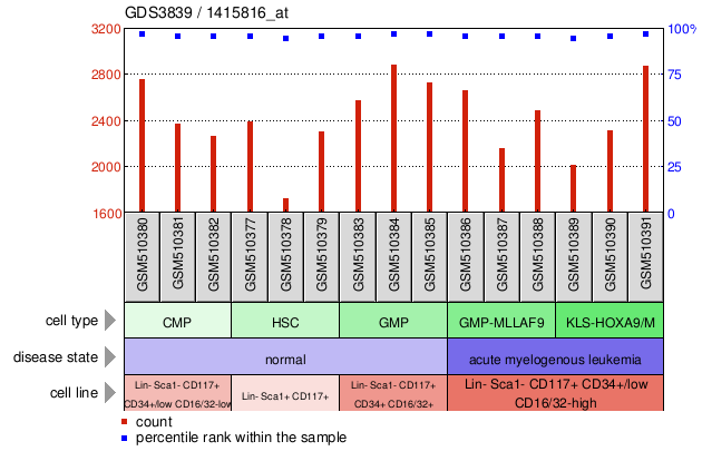 Gene Expression Profile