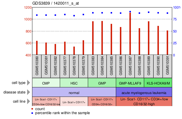 Gene Expression Profile