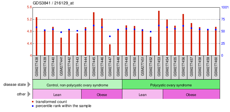 Gene Expression Profile