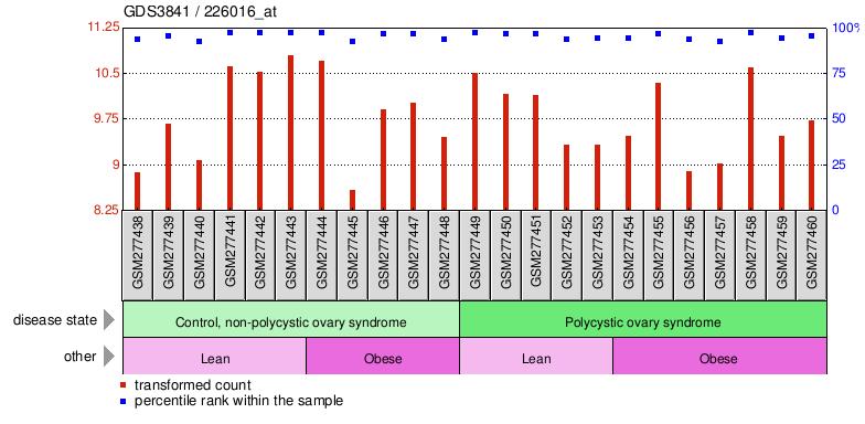 Gene Expression Profile