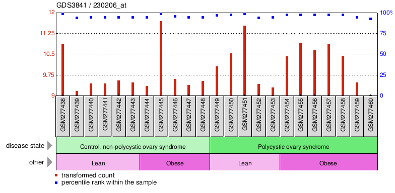 Gene Expression Profile